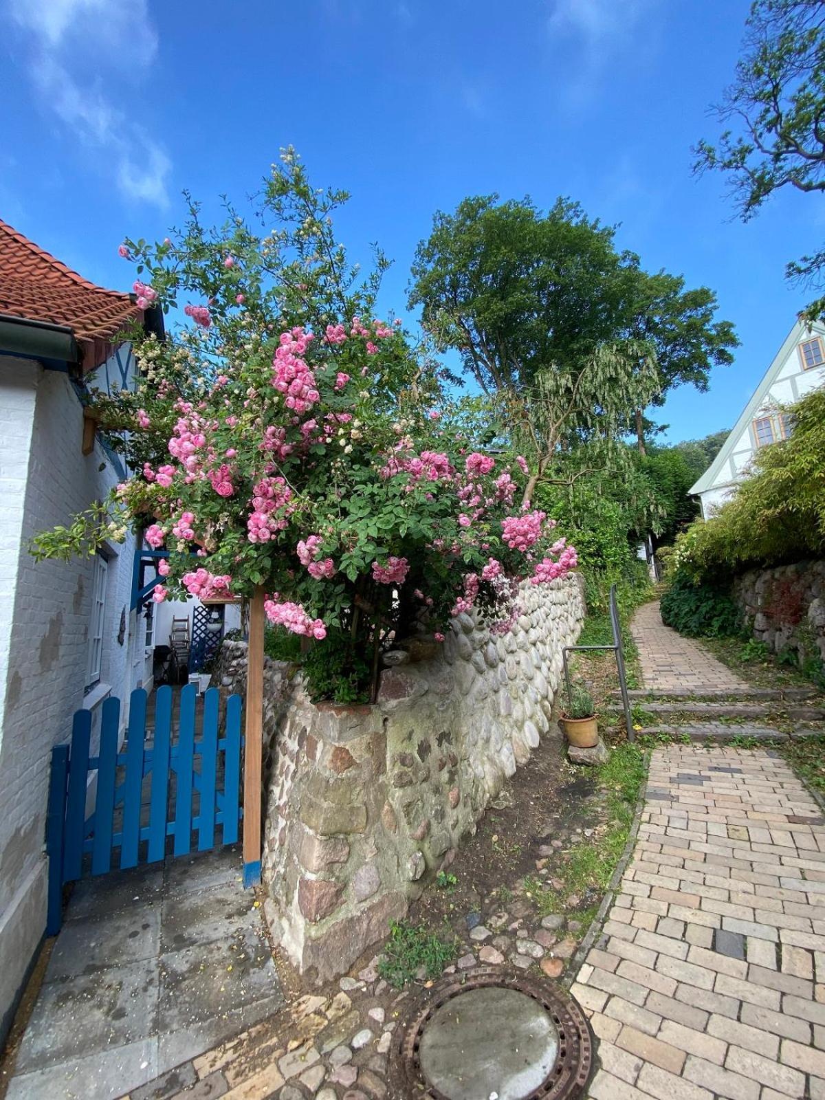 Fischerhaus Blankenese Hambourg Extérieur photo